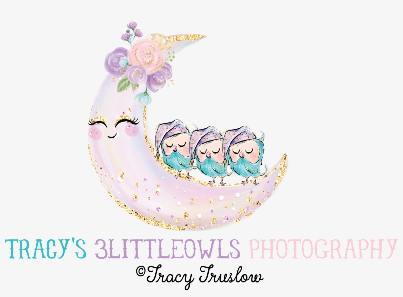 Tracy's 3littleowls Photography - Illustration, transparent png download
