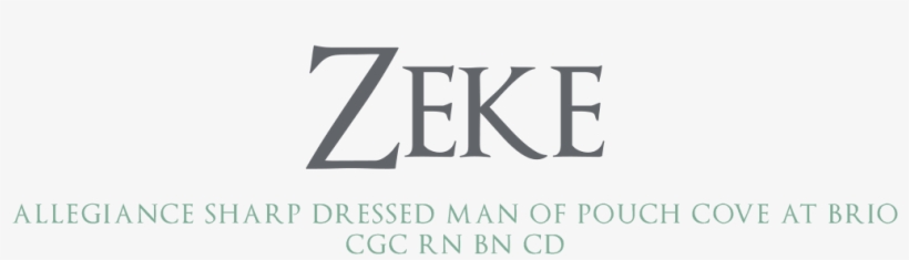 Owned By Eva Marie Johnson - Dekalb Health, transparent png download