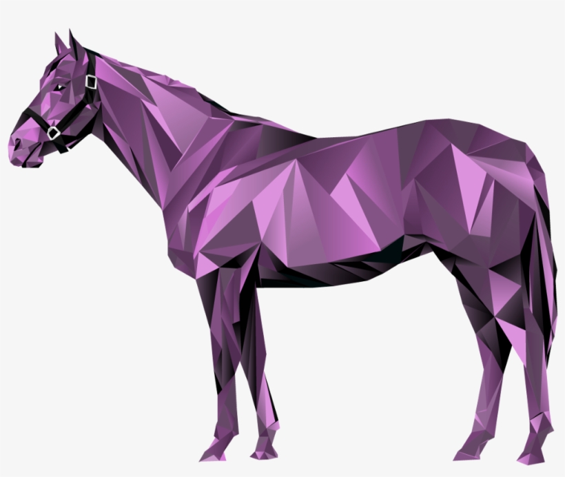 We Are Hyped To Be Launching The Early Release Of Our - Thoroughbred, transparent png download