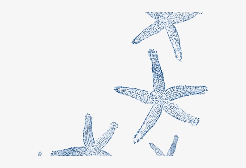Starfish Clipart Fancy - Fish Clip Art, transparent png download