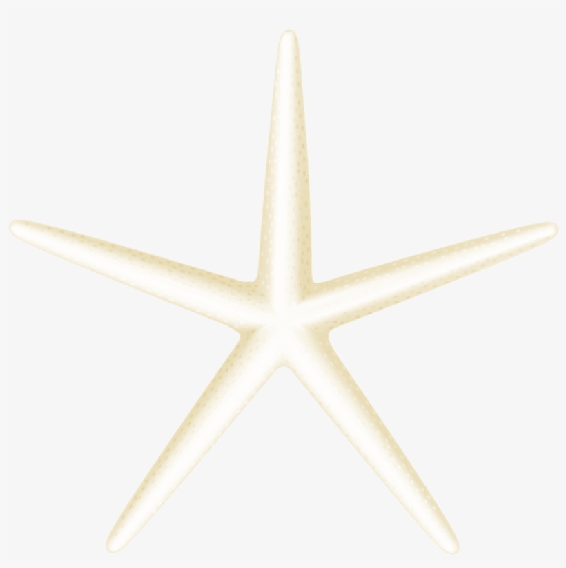 Free Png Download Starfish Transparent Clipart Png - Starfish, transparent png download