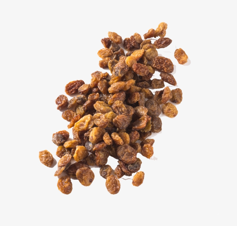 Raisin, transparent png download
