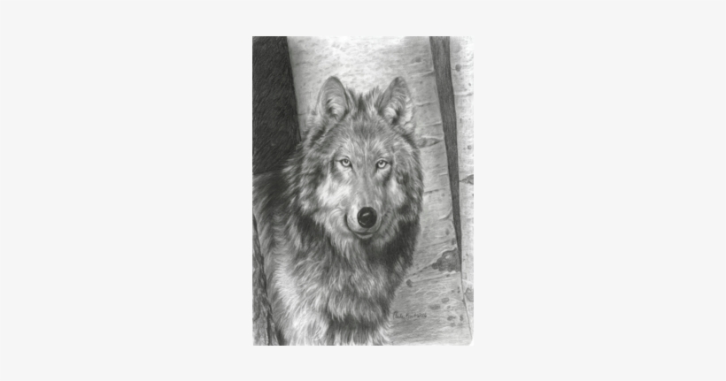 Wise Eyes- Carla Kurt - Drawings Of Eyes, transparent png download