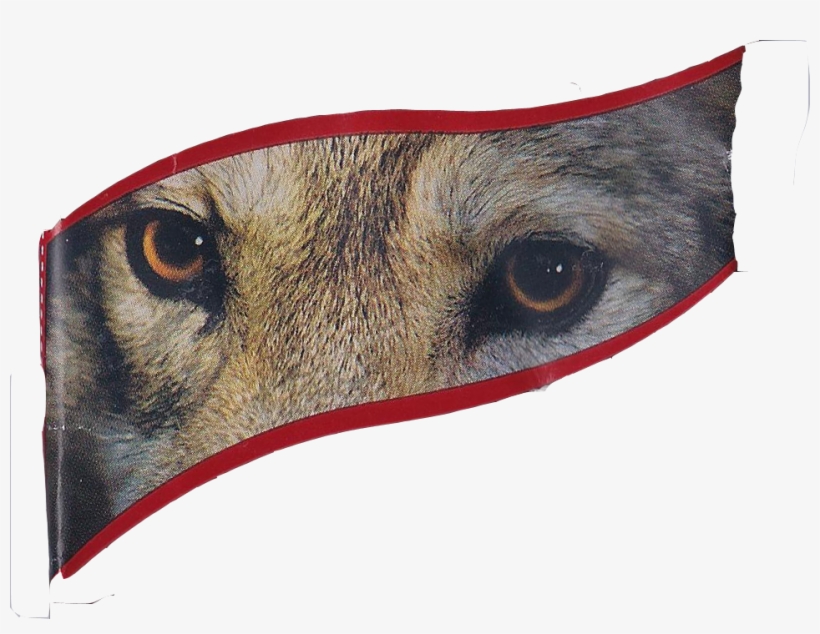 Dark, Delicious Thread To A Haunting Howl - Roe Deer, transparent png download