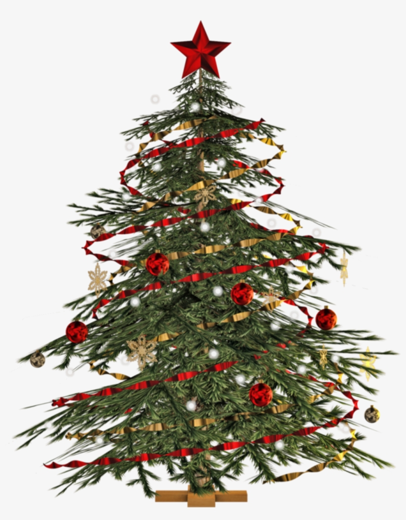 Report Abuse - Transparent Christmas Tree Png, transparent png download