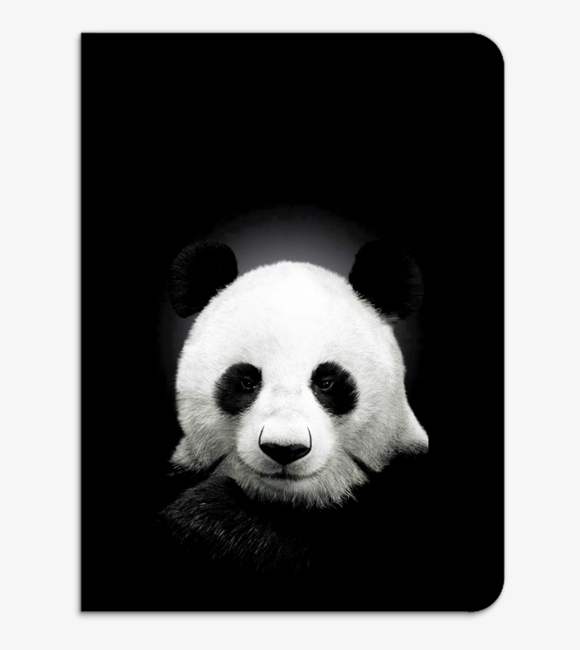 900 X 1024 5 - Panda Crypto, transparent png download