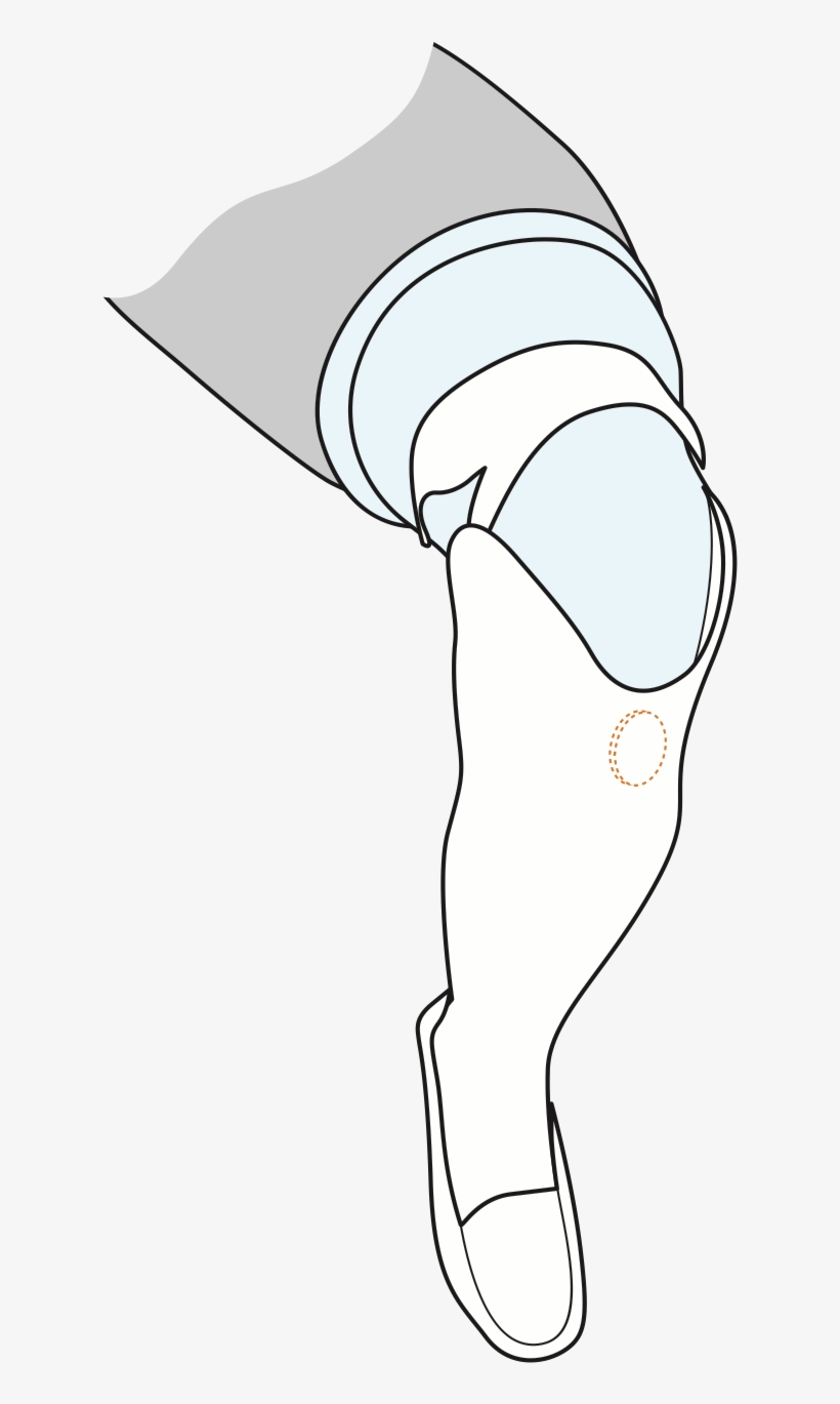 A Technical Drawing Of Cindy's Lower Leg, With A Circle - Sketch, transparent png download