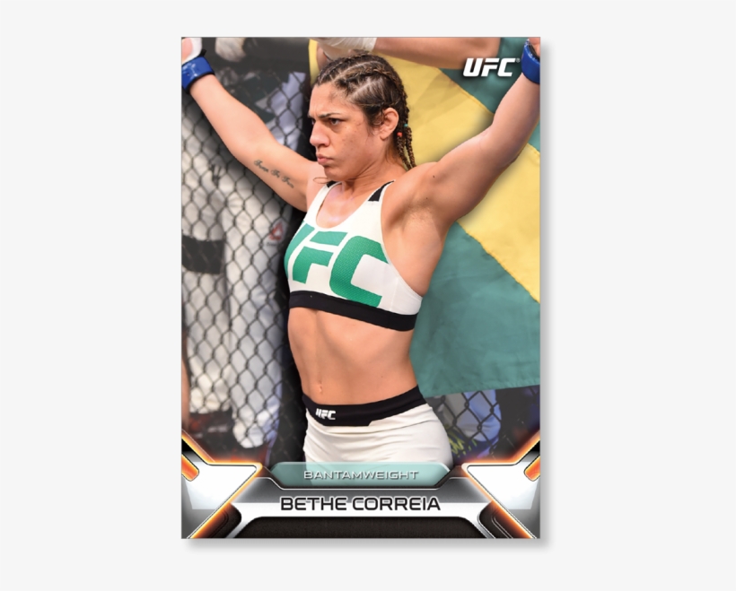 Gallery - Banner, transparent png download