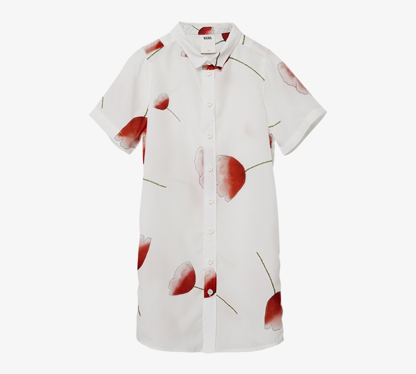 Wawa - Blouse, transparent png download