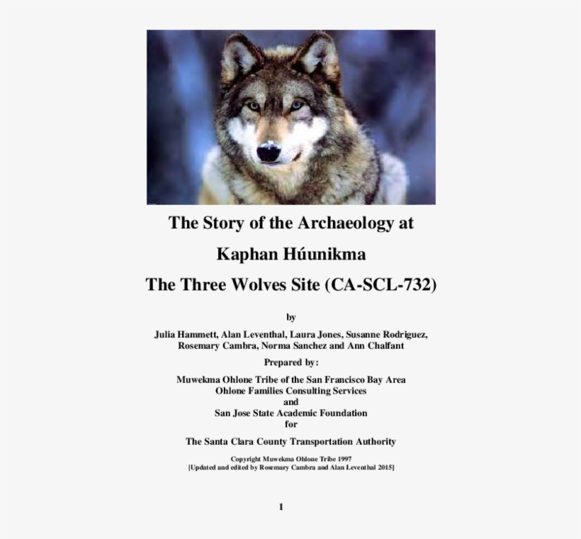 Pdf - Grey Wolf, transparent png download