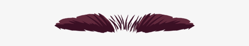 Eyelash Extensions, transparent png download