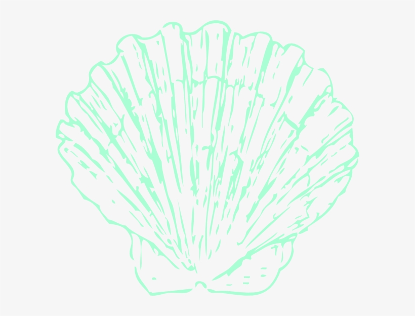 Seashell, transparent png download