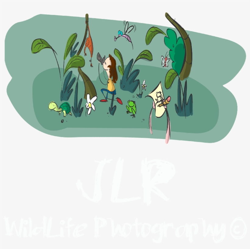 Invictus Photographer - Cartoon, transparent png download