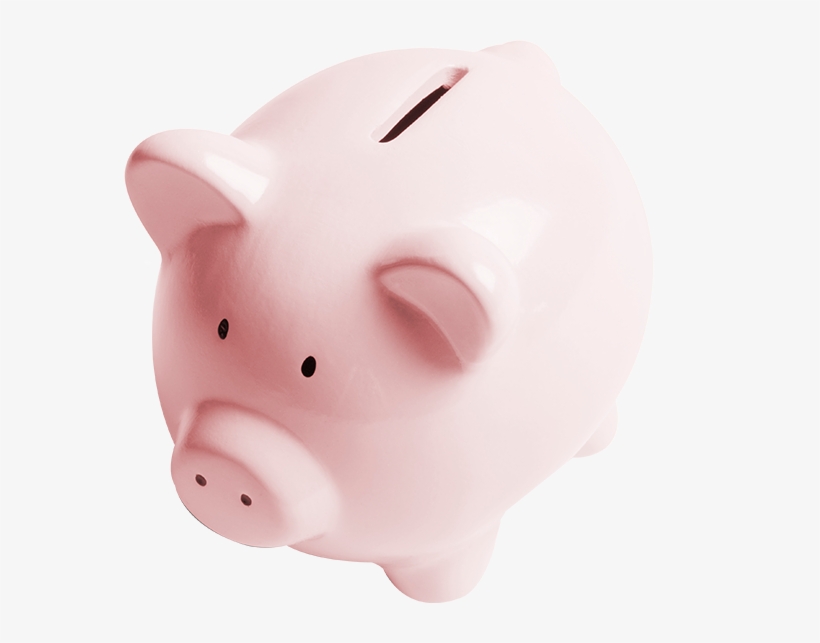 Invest In A Sure Thing With Clinton Savings Bank Cds - Domestic Pig, transparent png download