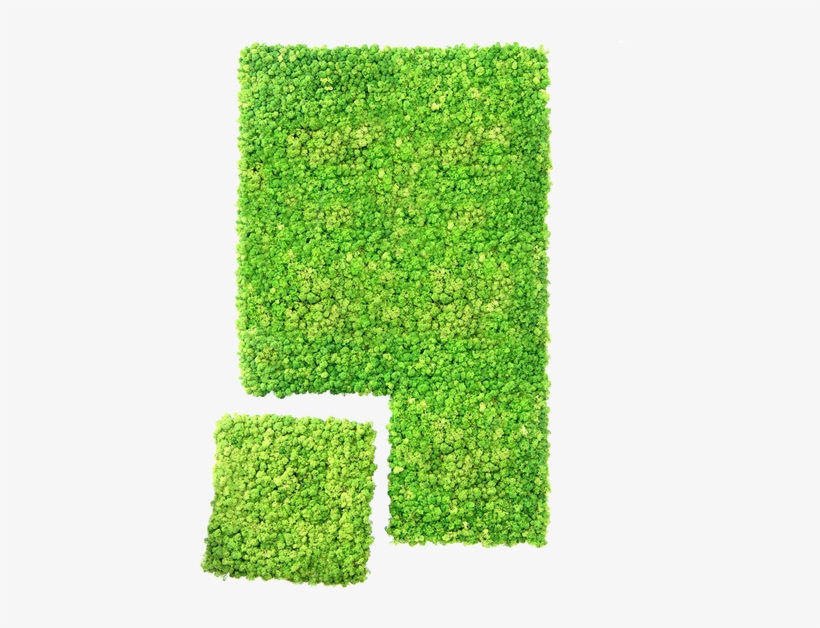 Meet The Dream Wall System - Hedge, transparent png download