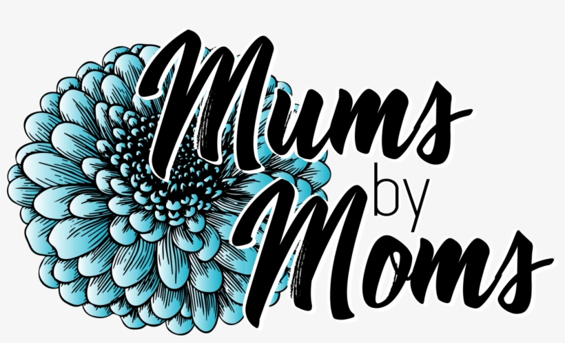 Chrysanths, transparent png download