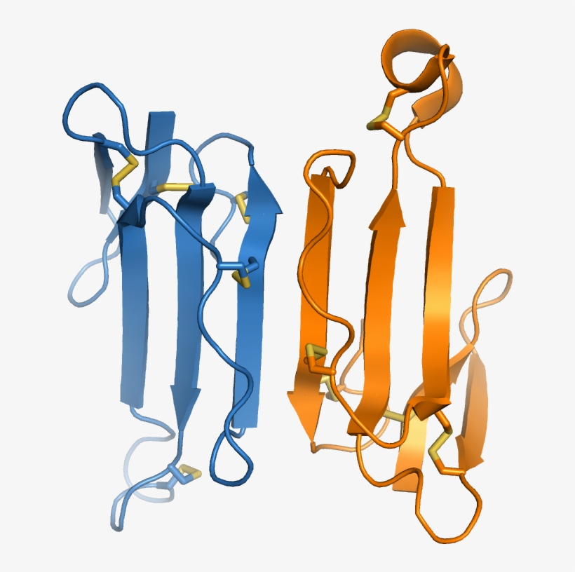 Clip Art, transparent png download