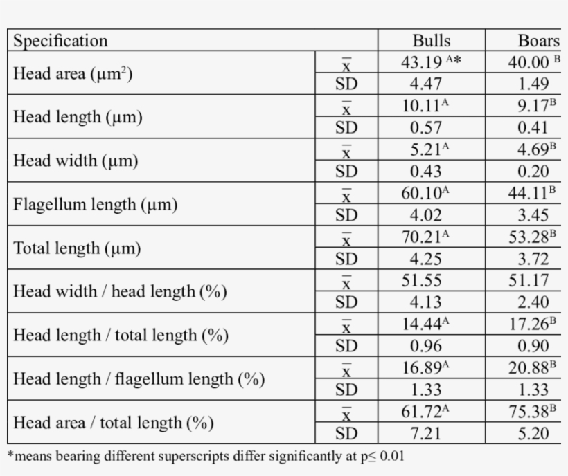 Morphometric Traits Of Sperm Of Bulls And Boars - Number, transparent png download