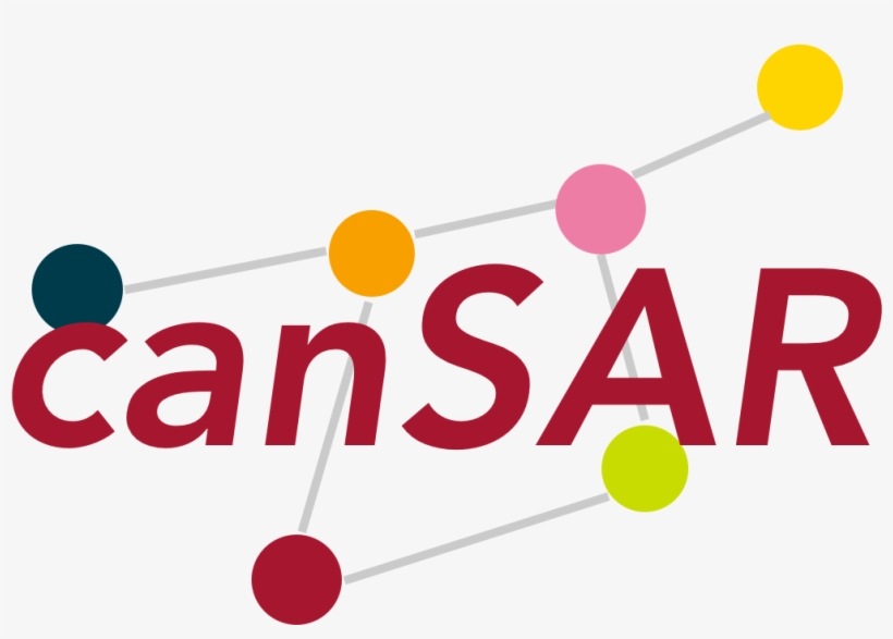 Cansar Team In The Department Of Data Science - Graphic Design, transparent png download