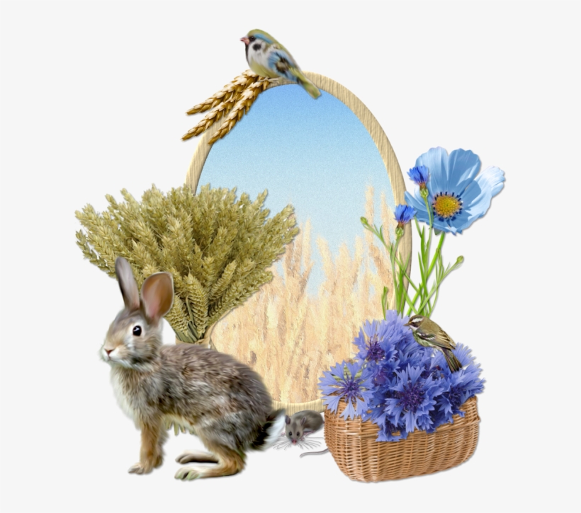 Cluster Wheatfields Clustereaster03 Clusterfairyeaster - Flower Bouquet, transparent png download
