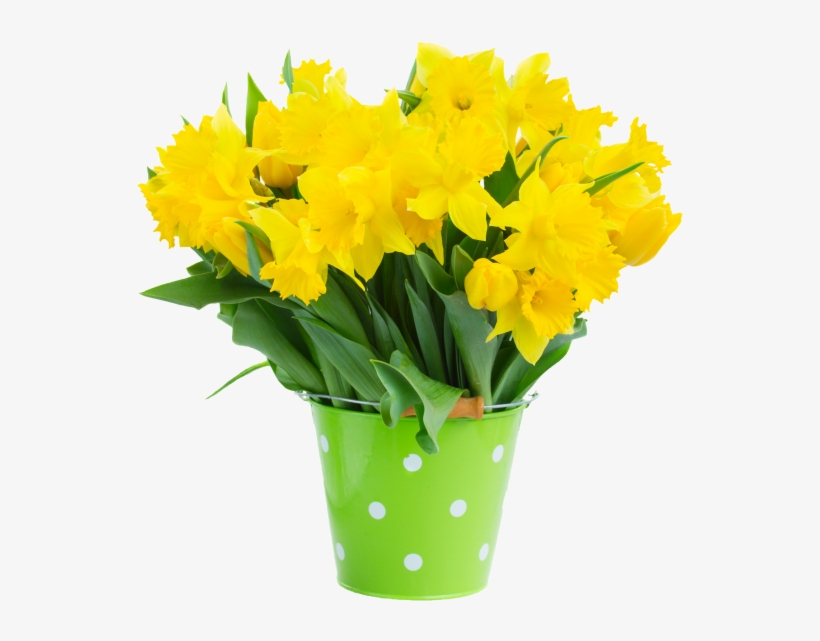 Narcissus Flower - Bouquet, transparent png download