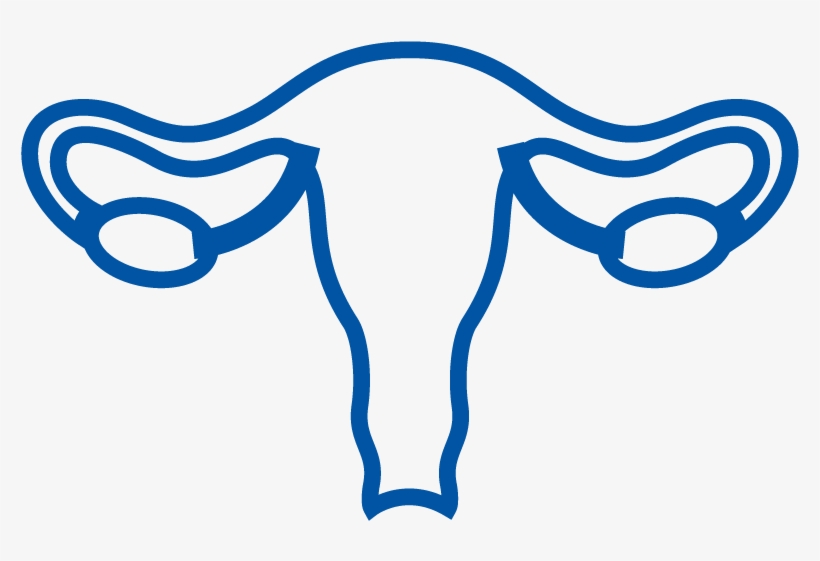 Cancer Types Kidney, transparent png download