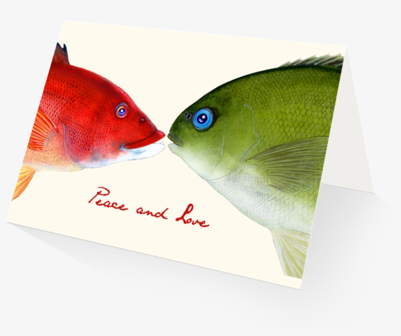 Sign Up And Get 10% Off - Pomacentridae, transparent png download