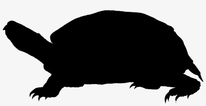 Turtle Silhouette Sea Turtle Diving - Silhouette, transparent png download