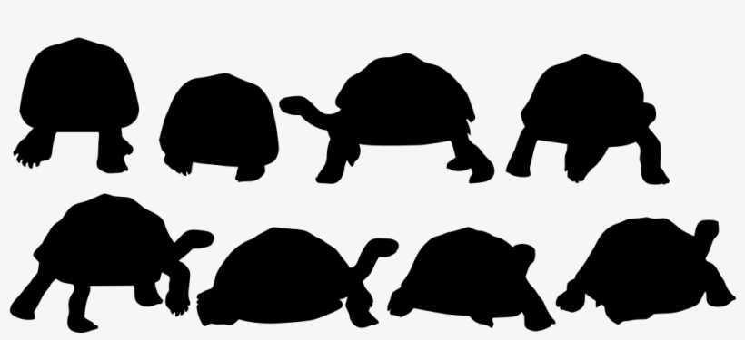 Download Png - ゾウガメ シルエット, transparent png download
