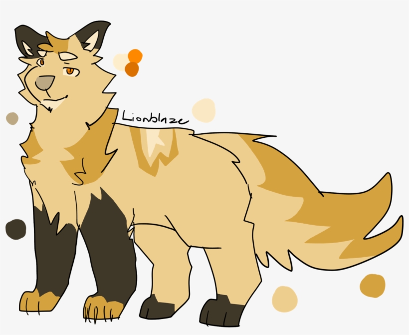 Signs As Cats Tumblr Funny Animal Tumblr Transparent - Cartoon, transparent png download