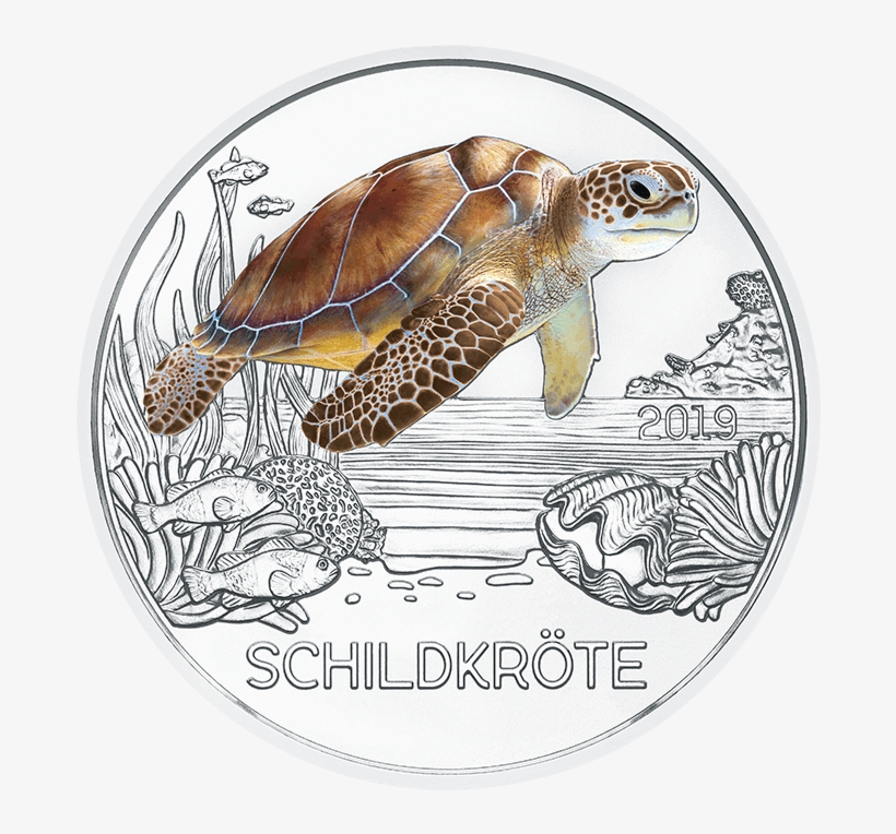 3-euro Coin Colourful Creatures 2019 The Turtle Reverse - 3 Euro Münze Schildkröte, transparent png download