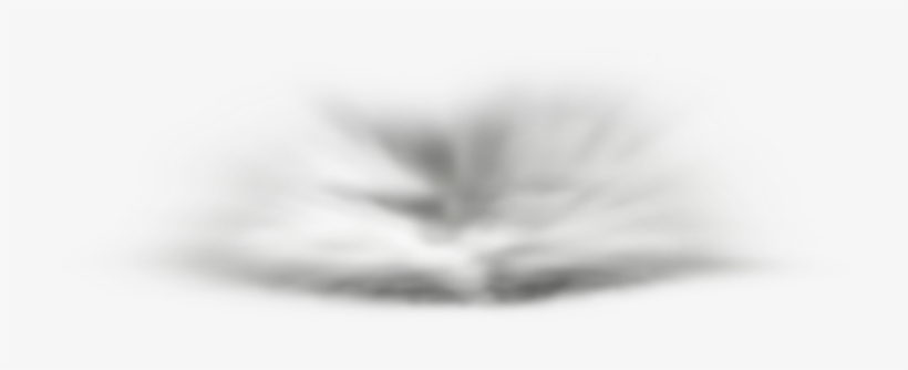 Fog Or Haze - Monochrome, transparent png download