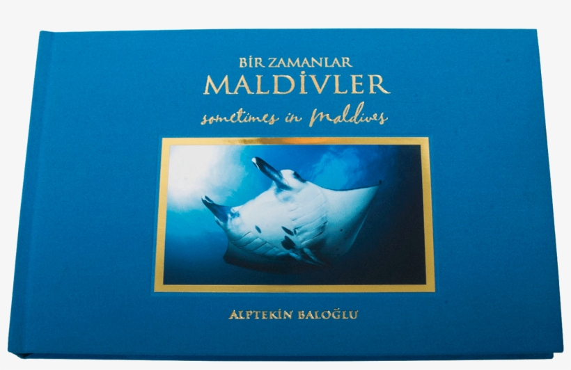 'bir Zamanlar Maldivler' Yayınlandı - Manta Ray, transparent png download