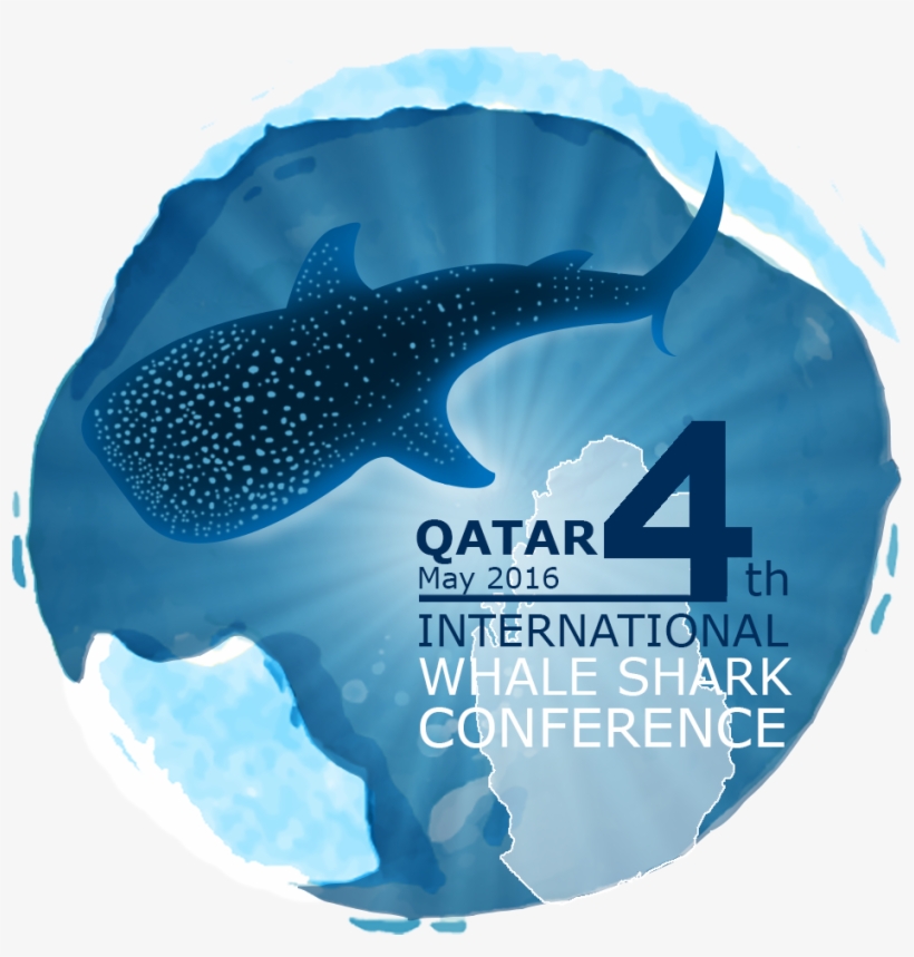 The Whalesafe Project At The Iwsc Event In Qatar - Whale Shark, transparent png download
