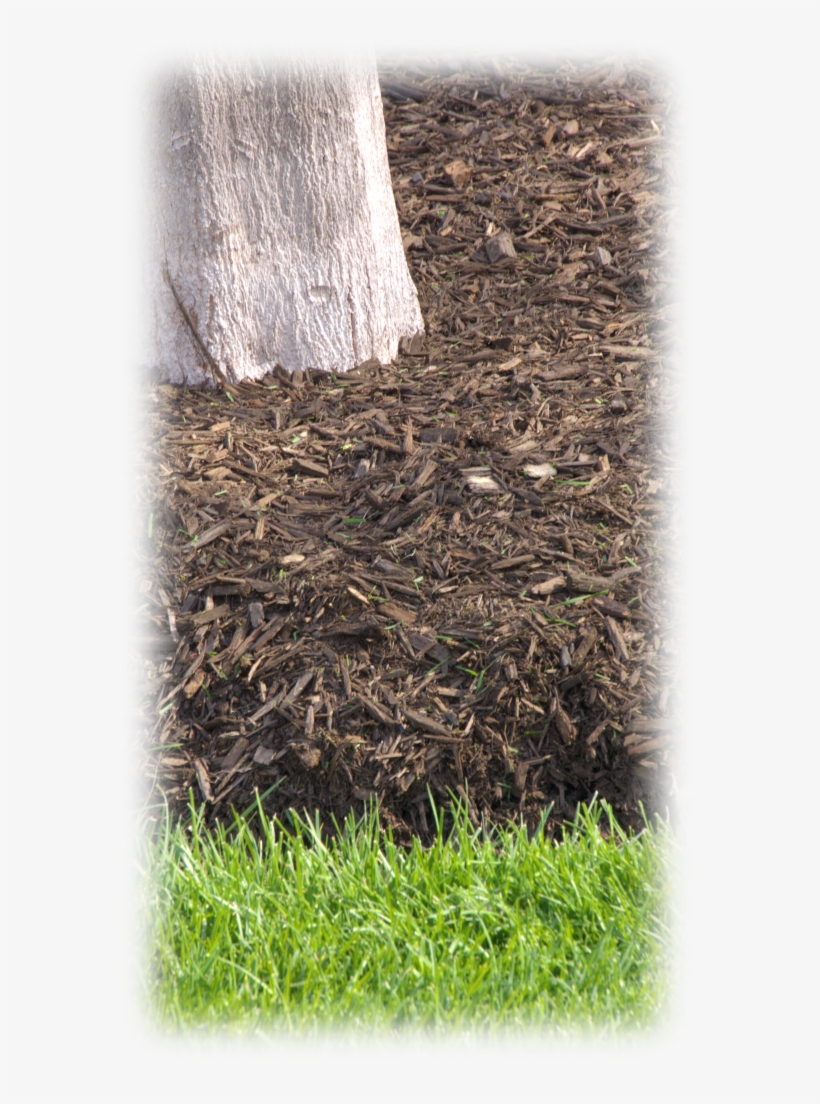 Mulch Ring - Wood, transparent png download