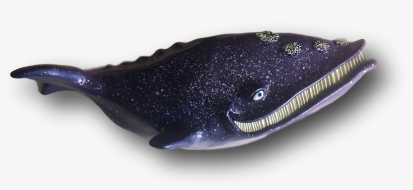Dale The Whale Fish With Attitude - Forage Fish, transparent png download