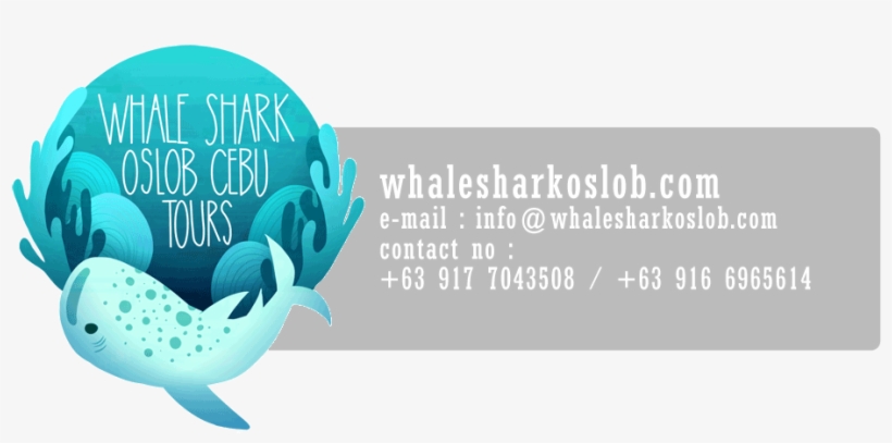 Oslob Whale Shark Tumalog Falls Sumilon Island - Graphic Design, transparent png download