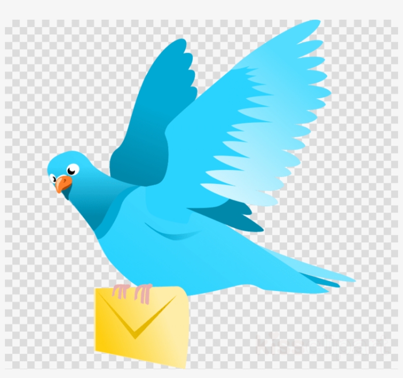 Free Png Download Bird Flying Png Images Background - Clip Art, transparent png download