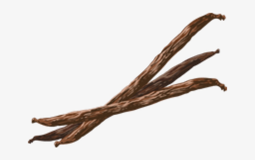 Vanilla Png, transparent png download