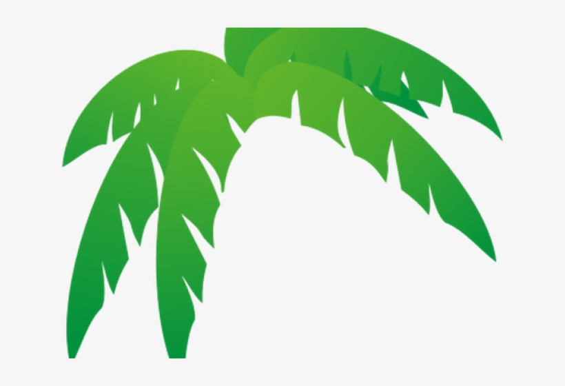 Palm Tree Clipart Palmera - Palm Frond Palm Tree Leaf, transparent png download