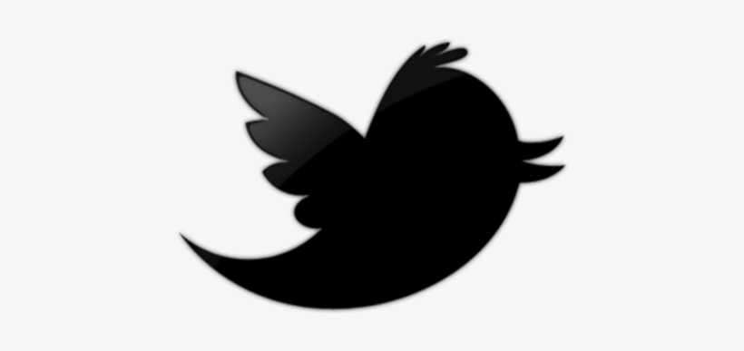 One Former Twitter Employee's Perspective On Race And - Black Twitter Logo Psd, transparent png download