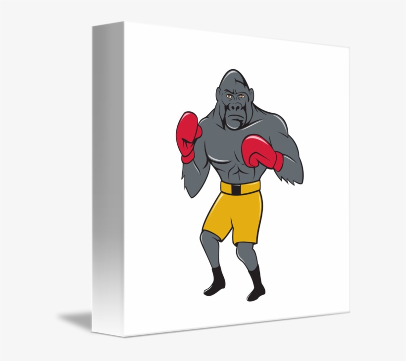 Graphic Free Stock Gorilla Cartoon By Aloysius Patrimonio - Amateur Boxing, transparent png download