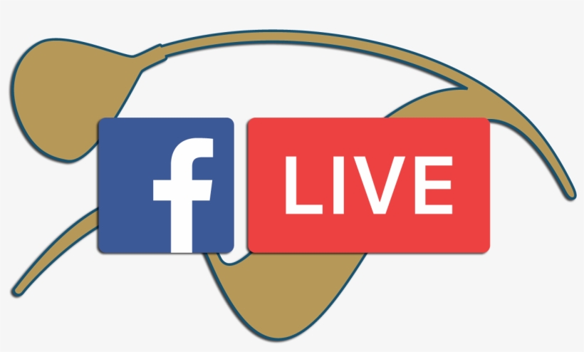 Follow Us, transparent png download
