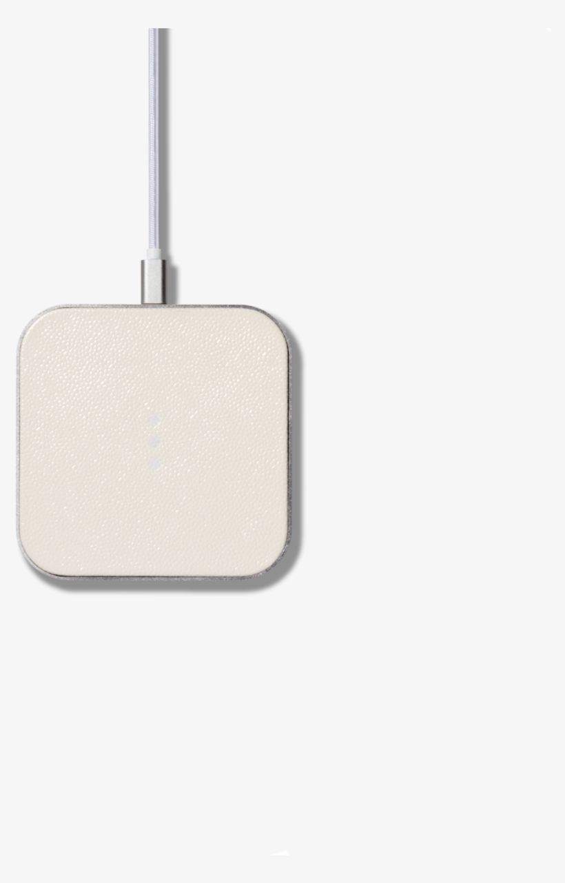 Courant Bone - Baking Peel, transparent png download