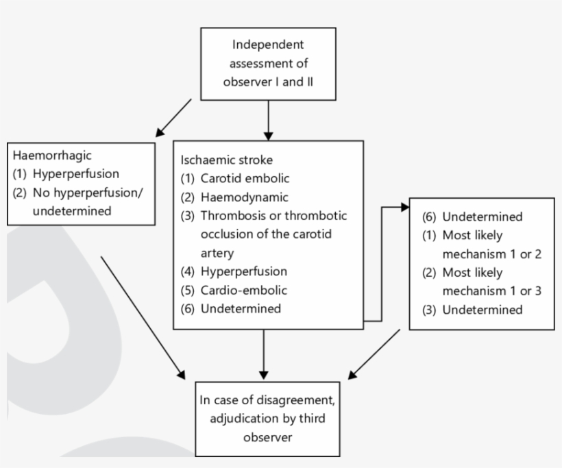 Adjudication And Classification Of Stroke Mechanism - Diagram, transparent png download
