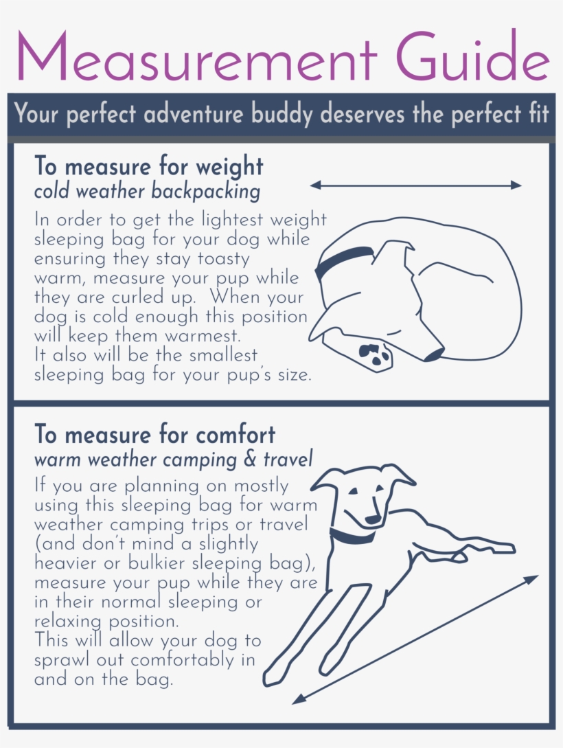 A Sleeping Bag For Adventure Dogs - Paper, transparent png download