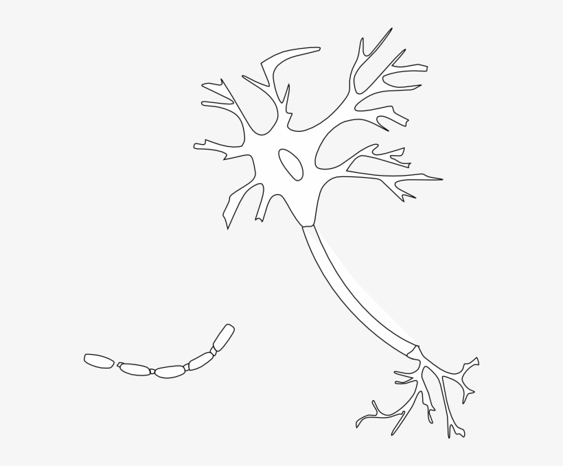 Small - Illustration, transparent png download