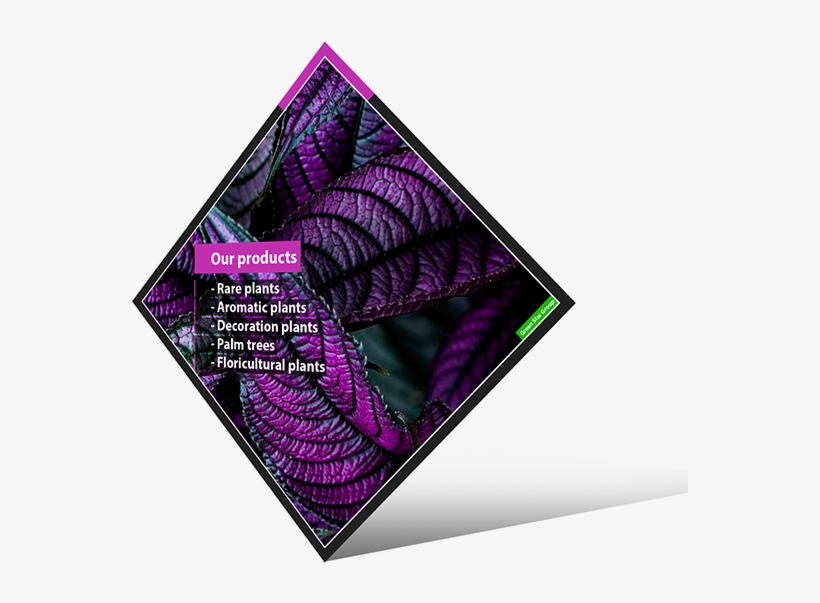 Green Star Rotational Brochure - Graphic Design, transparent png download