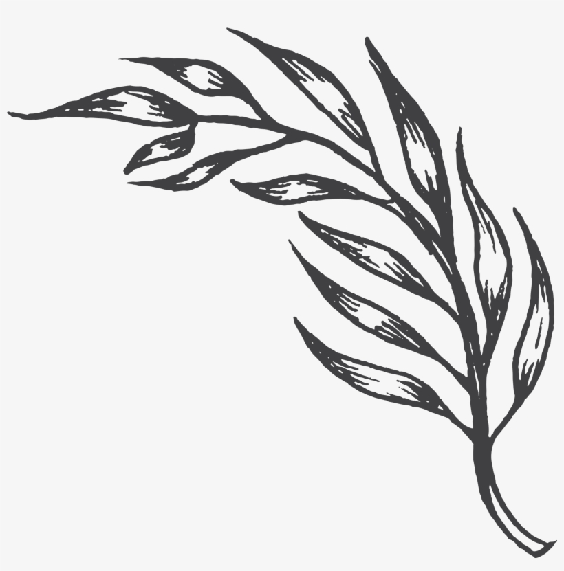 00 Am - Sketch, transparent png download