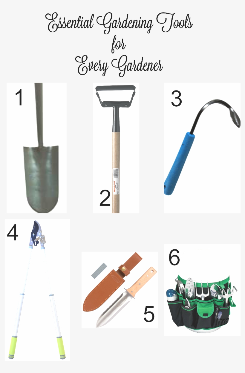 Essential Gardening Tools For Every Gardener New House - Tool, transparent png download